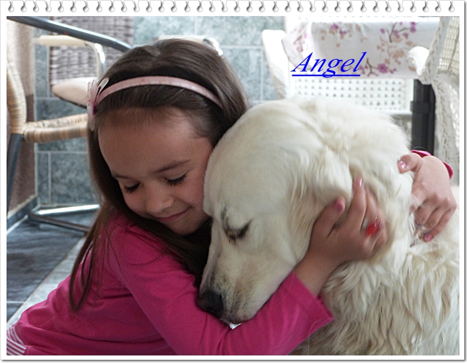 Omara huendin.jpg (124035 Byte)